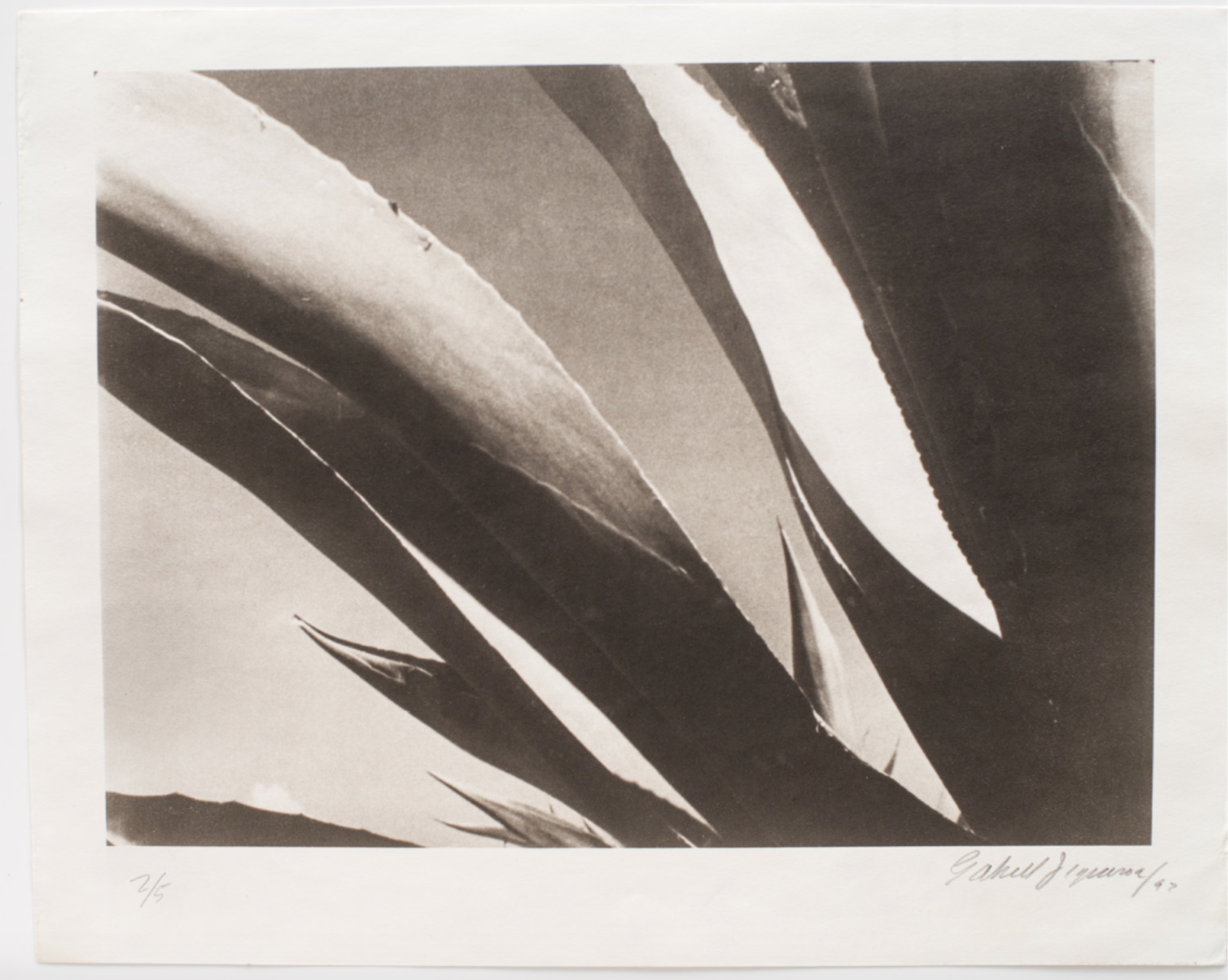 Abstraction de Maguey "Una Cite de Amor" 1956